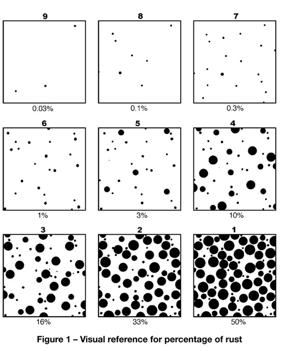diagram of 9 squares with illustration of appearance of rust percentage
