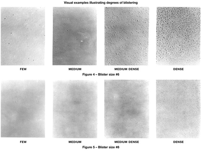 8 additional photos illustrating varying degrees of blistering