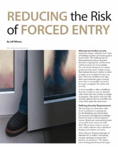 risk of forced entry intro