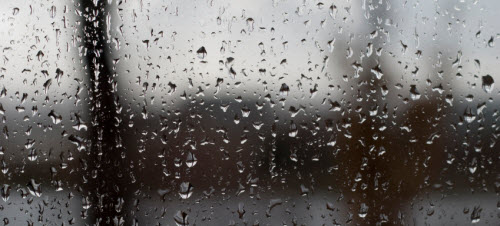 photo of droplet-covered glass